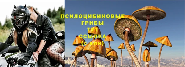 молекула духа Верея