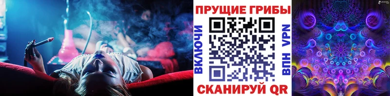 гидра зеркало Когалым Галлюциногенные грибы мицелий